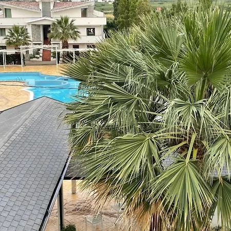 Dominicus 4* Grisolia