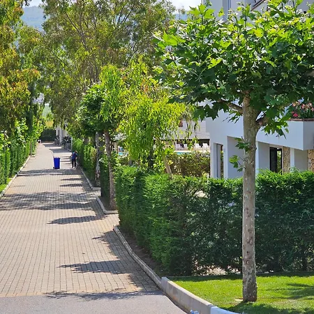 Hotel Dominicus Grisolia