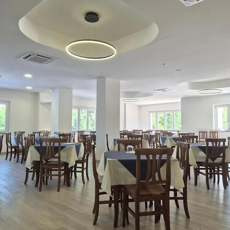 Dominicus 4*
