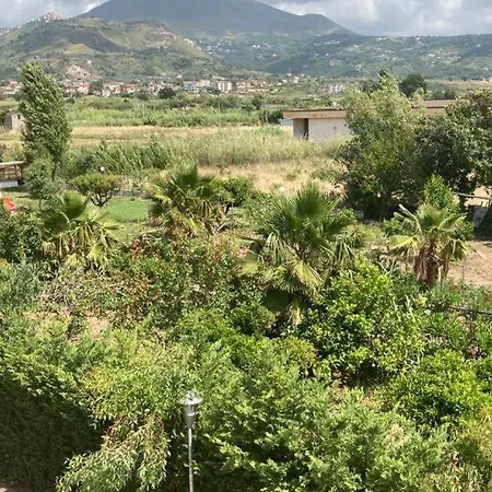 Hotel Dominicus Grisolia