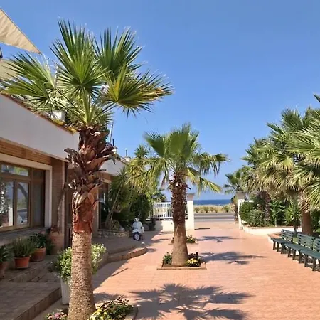 Dominicus 4*