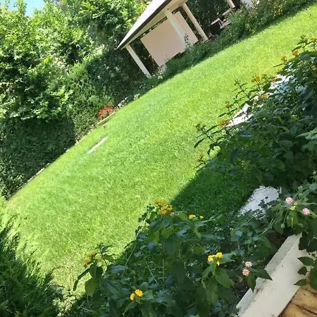 Dominicus 4* Grisolia